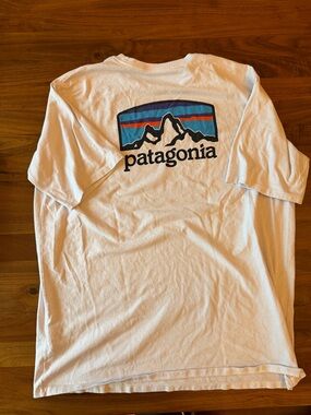 Patagonia Light Blue Crewneck Tee with Logo Print